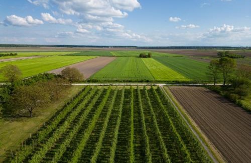 Andrijasevci House | Rudine 41 - Off-Grid Riverside Home