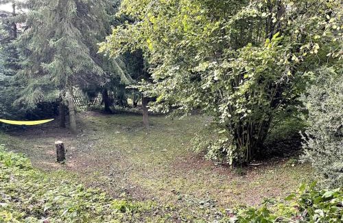 Kaiserpfalz House | Ruhiges Häuschen am Wald mit Kamin, Terrasse