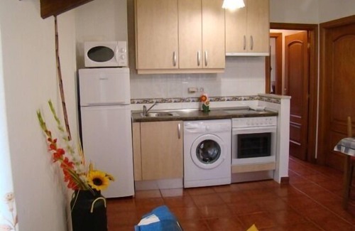 Gamonedo Cottage | RURAL APARTMENT (full rental) Gamonedo for 2 people