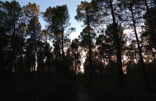 Jabaga House | Rural Arco Iris