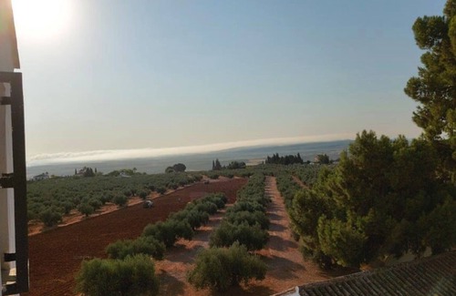 Montilla Cottage | Rural house with pool and paddle tennis court 4 km from Montilla