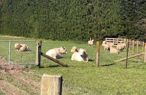 Kairanga House | Rural Stay On City Doorstep