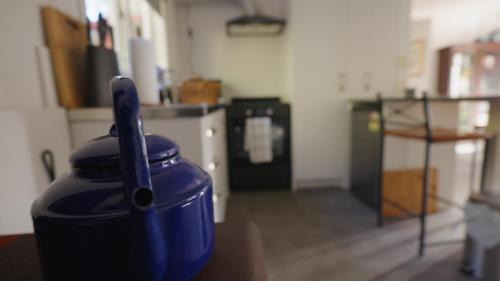 Richmond Downs House | Ruru Retreat at the Sculpture Park