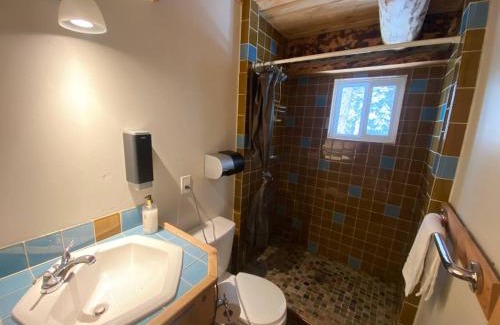 Columbia Valley Ski Chalet | Rustic Dream Cabin at Beaverfoot