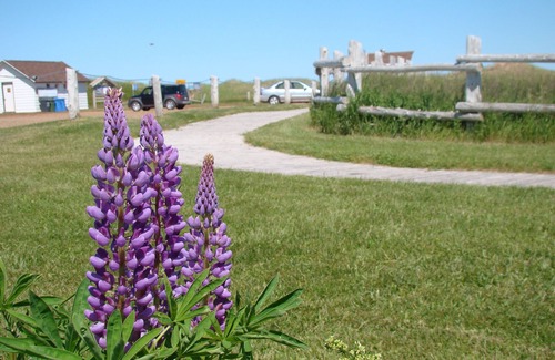 North Rustico House | Rustic Harbour House