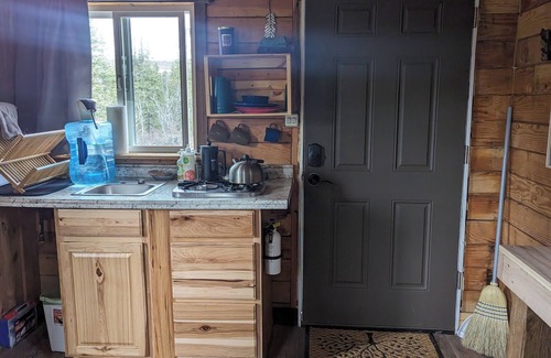 Cantwell Cabin | Rustic Moose Cabin Getaway - Glamping