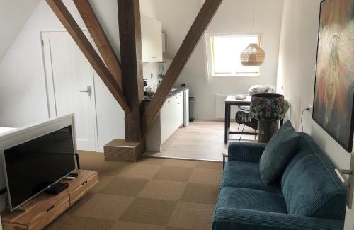 Lekkum Apartment | Rustig logeerverblijf aan de rand van de stad