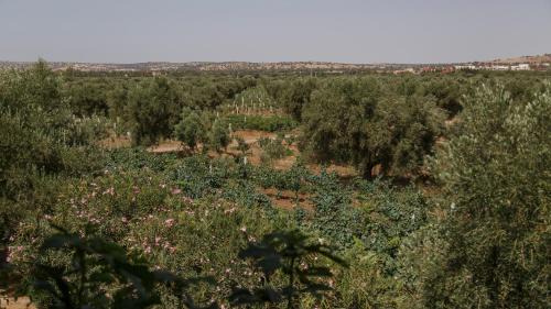 Ounagha Bed & Breakfast | Ryad de Vignes " Le Val d'Argan "
