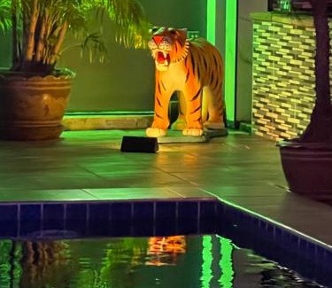 Surin Resort | S & K surin