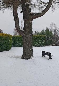 Belgrano Apartment | S&M Departamento 7