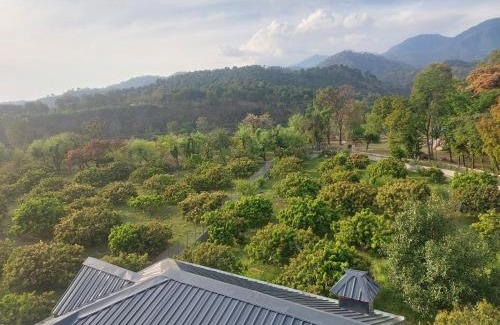 Dharamshala House | S R Homestay