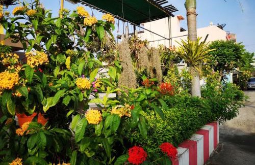 Suphan Buri House | Sab Suwarn Mansion