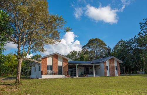 Kampung Nalapak Cabin | Sabah Tea Resort