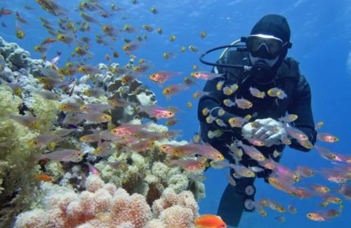 Airlie Beach Boat Rental | Sailing Vessel Summer Jo Private Charter - Sleeps 33