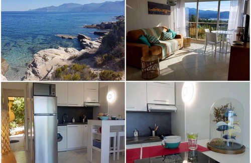 Patrimonio Apartment | Saint- Florent, Pleasant air-conditioned Studio, Panoramic Gulf View
