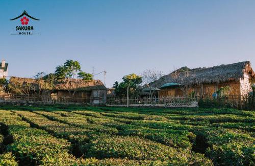 Moc Chau House | SAKURA House - Vườn Đào