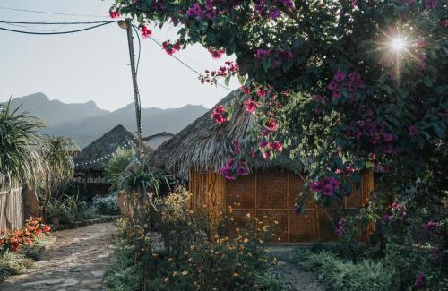 Moc Chau House | SAKURA House - Vườn Đào