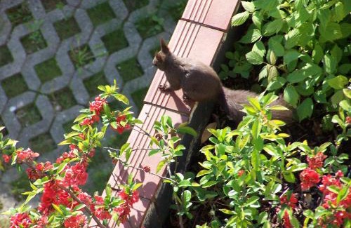 Bad Schallerbach Apartment | Salotto di LaZia