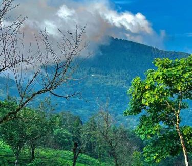 Kalimpong House | Samabeong Homestay Tindhurey