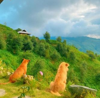 Bac Yen Bed & Breakfast | Samu Retreat Tà Xùa