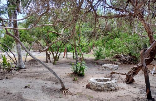 Dzidzantun Hotel | Santa Clara Hotel and Tours