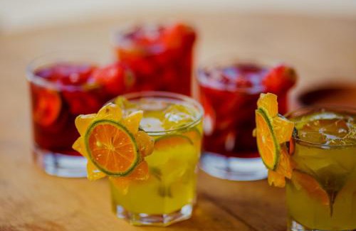 Porto Jofre Hotel | Santa Rosa Pantanal Hotel