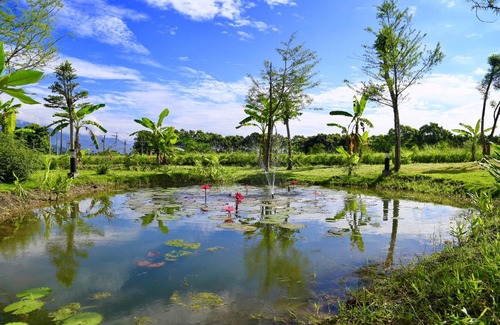 Guangfu House | Sapientia