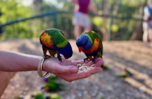 Sapphire Other | Sapphire Caravan & Cabin Park