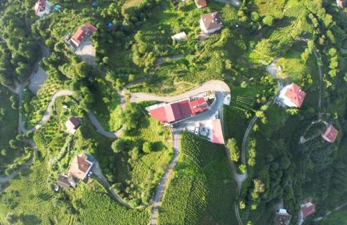 Cayeli Hotel | Sarı Köşk Hotel