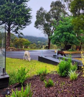Chum Creek House | Savvanah Farmstay family friendly home with stunning views and spa