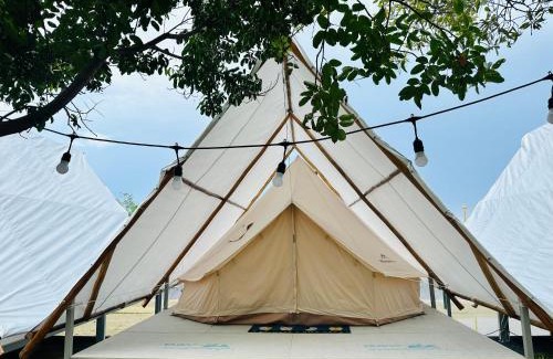 Can Gio Other | SAY Camp Forest