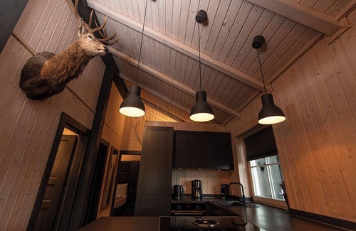 Kuestelberg House | Scandinavian Lodge with hot tub near Winterberg