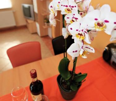 Ralswiek Apartment | Schölzke‘s Ferienhaus