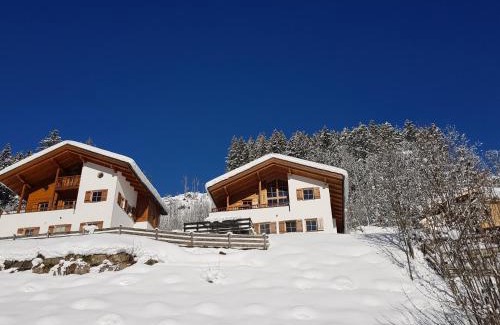 Wald im Pinzgau House | Schöneben Chalet Escape