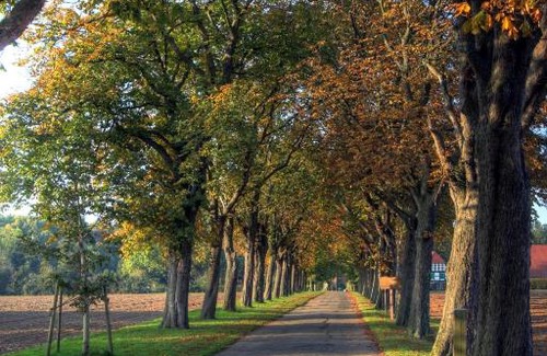 Preussisch Oldendorf Apartment | Schlosspark Hollwinkel