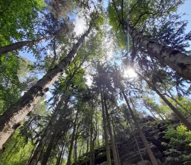 Heeselicht Other | Schlummerfass an der Bockmühle