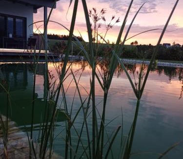 Lambrechten House | Schnatterhof