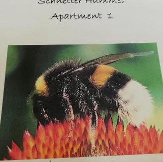 Masserberg Apartment | Schnetter Hummel, Apartment 1