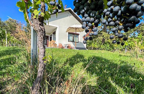 Deutsch Schuetzen-Eisenberg House | Schoenes Ferienhaus Eisenberg
