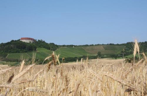 Ipsheim Apartment | Schwarzer Adler - Ferienwohnung Storchennest