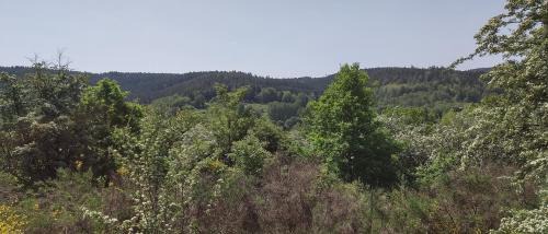 Suhl House | Seßles Waldhäusschen Dietzhausen