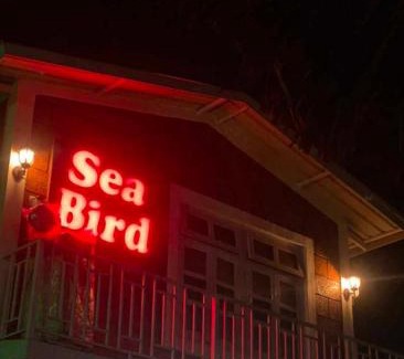 Revadanda Resort | Sea Bird Holiday Home Behind Revdanda High school Revdanda Alibag Raigad Maharashtra