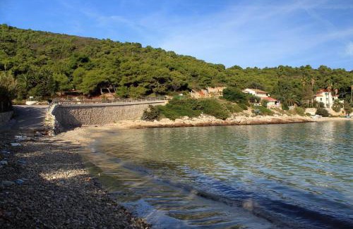Milna House | Seaside holiday house Milna, Vis - 8900