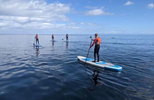 Islandmagee House | Seaview Cottage on the Island