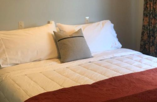 Oamaru Villa | Seaview Villa