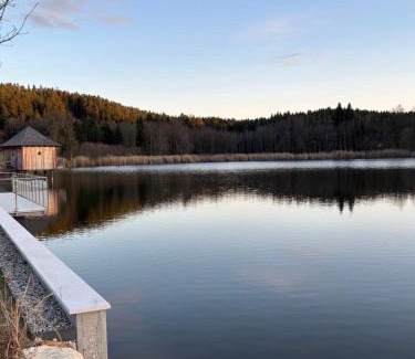 Sankt Veit an der Glan Apartment | Seeapartments Hörzendorf