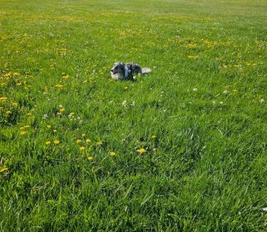 Hagenwerder Apartment | Seegarten