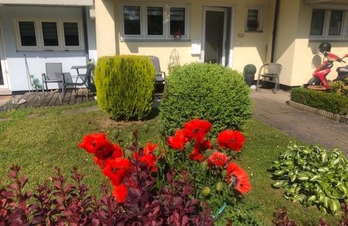 Scheid Apartment | Sehr schöne ufernahe ebenerdige Ferienwohnung Pura Vida auf der Halbinsel Scheid