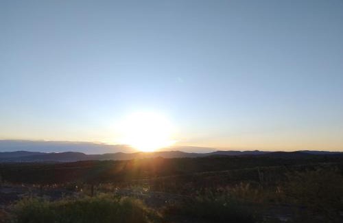 Yocsina Other | Sens EcoRefugio