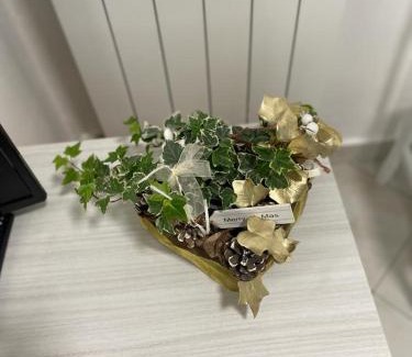Crema Apartment | senza pensieri al fiume